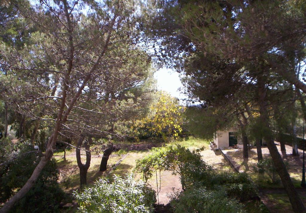 Villa Morgante B&B Pedara Luaran gambar