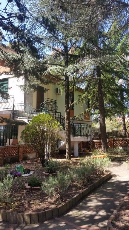 Villa Morgante B&B Pedara Luaran gambar