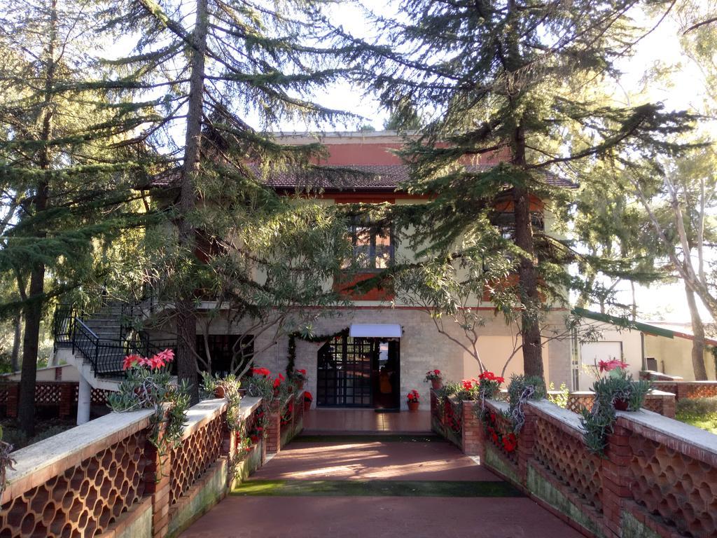 Villa Morgante B&B Pedara Luaran gambar