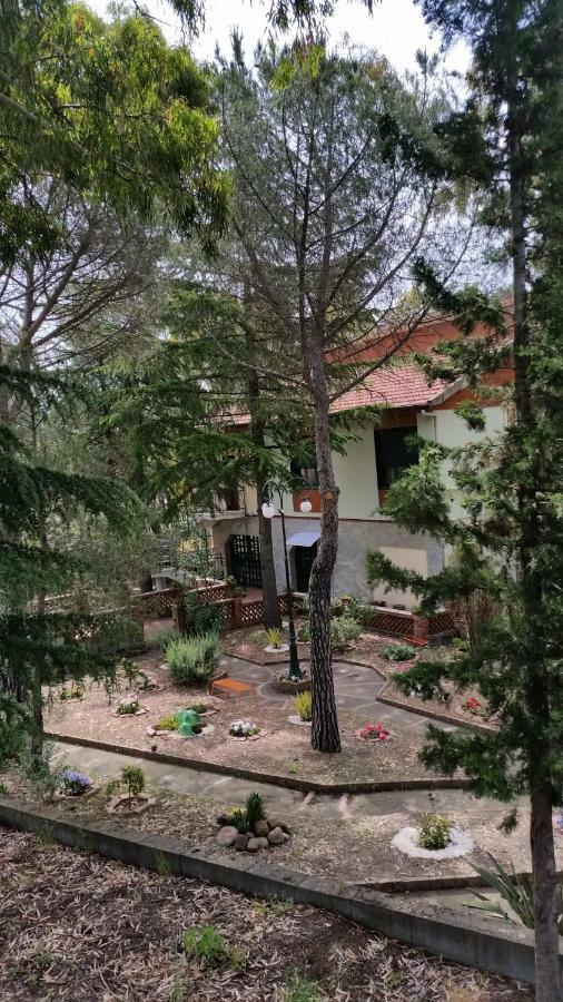 Villa Morgante B&B Pedara Luaran gambar